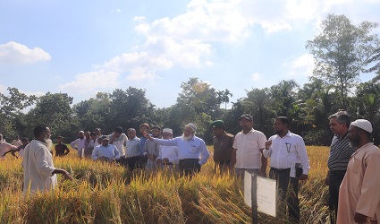 বাকৃবিতে অভাবনীয় সাফল্য ‘বাউ সয়েল টেস্টিং কিট’ ব্যবহারে লাভবান কৃষকরা
