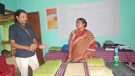 খামারে গবাদীপশুর দানাদার খাদ্যকে নিরাপদ করণের উপায়