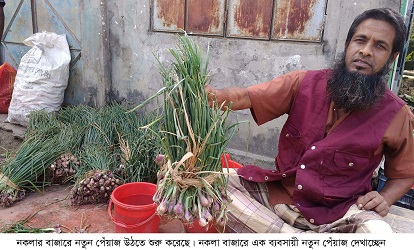 নতুন পেঁয়াজে মিলছে কাঁচা টাকা