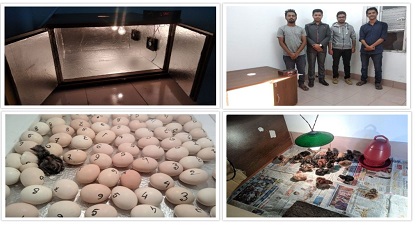 সৌরবিদ্যুৎ চালিত ইনকিউবেটর উদ্ভাবন, স্বল্প মূল্যে উৎপাদিত হবে অধিক বাচ্চা