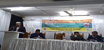 জামালপুরে ‘চীনাবাদাম উৎপাদন এর আধুনিক কৌশল’ শীর্ষক কর্মকর্তা প্রশিক্ষণ অনুষ্ঠিত