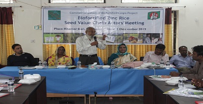 জিঙ্কসমৃদ্ধ ধান