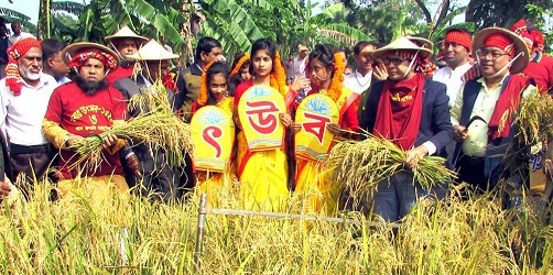 নবান্ন উৎসব