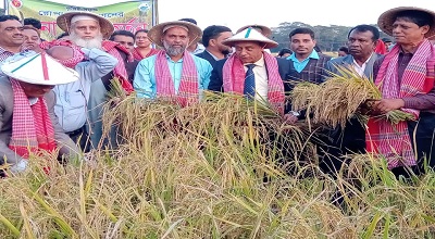 ধান কর্তন উৎসব