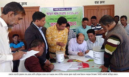 আমন ধান সংগ্রহে