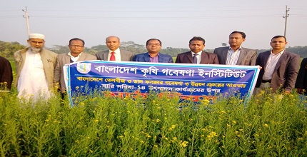 খাবারের পাশাপাশি শরীরের যত্নে চাই খাঁটি সরিষা- ড. মুহাম্মাদ সামসুল আলম