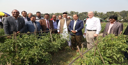 বারি’তে উদ্ভাবিত প্রযুক্তিসমূহের উপর মাঠ দিবস ও কৃষক সমাবেশ অনুষ্ঠিত