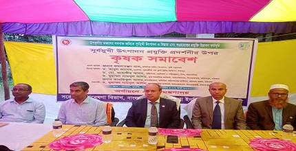 পটুয়াখালীর দুমকিতে সূর্যমুখী আবাদের ওপর কৃষক সমাবেশ