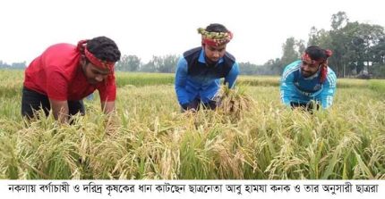 নকলায় বর্গাচাষী গরীব কৃষকের পাশে দাঁড়িয়েছে ছাত্রলীগ কর্মী কনক ও তার অনুসারীরা