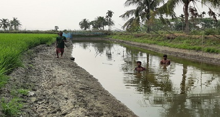 করোনার প্রভাবে চিংড়ি শিল্প ধংসের পথে