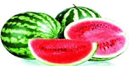 গরমে সুস্থ রাখার বটিকা: পুষ্টিকর ফল তরমুজ