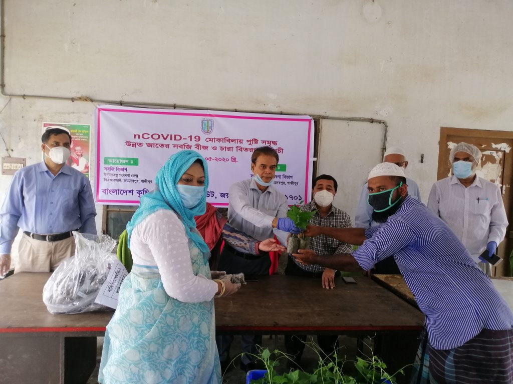 বীজও চারা বিতরণ