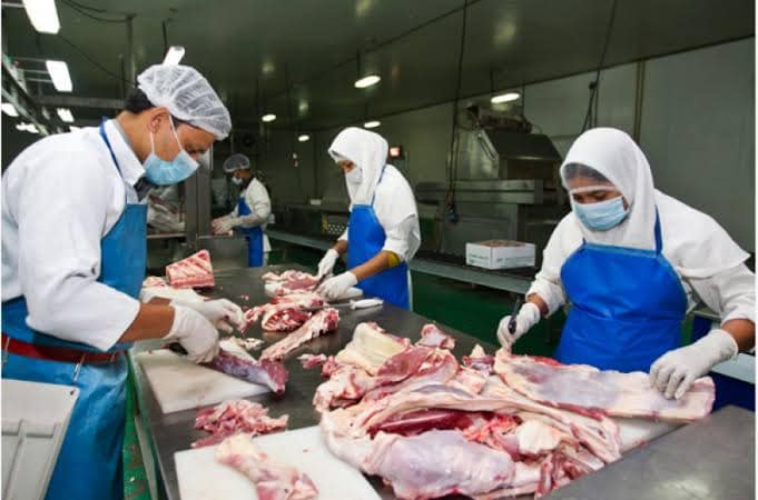 নিম্নমানের মাংস আমদানি না করে দেশেই  প্রতিষ্ঠান গড়ে তোলা প্রয়োজন