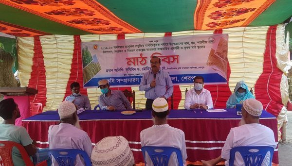 শেরপুরের নকলায় কৃষক গ্রুপের মাঠ দিবস অনুষ্ঠিত