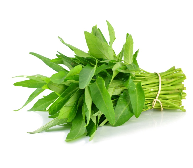 বাড়ির আঙিনায়,টবে অথবা পতিত জমিতে কলমি শাক চাষ