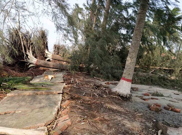 সুন্দরবনে আম্ফানে ক্ষয়ক্ষতি পৌনে দুই কোটি টাকা