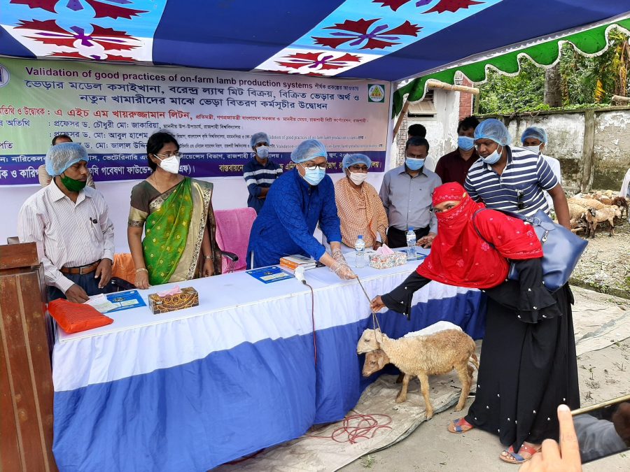 মহিলাদেরকে ভেড়া প্রদান