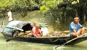 সুুন্দরবনে দুই মাস মাছ ধরা বন্ধ হচ্ছে,অনিশ্চিত হয়ে পড়েছে মৎস্যজীবীদের জীবন