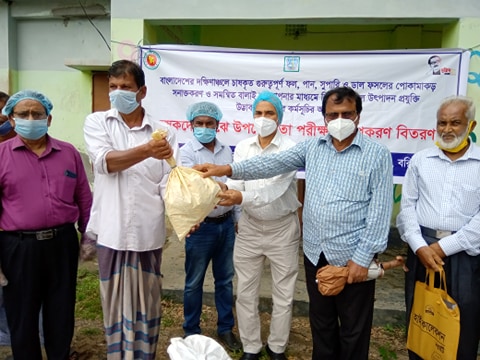 বরিশালে নামকরা পেয়ারা আর আমড়া-ড. মুহাম্মদ সামসুল আলম