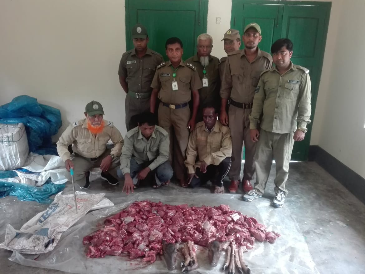 সুন্দরবনের দুটি হরিনের মাথাসহ ৩০ কেজি মাংস উদ্ধার