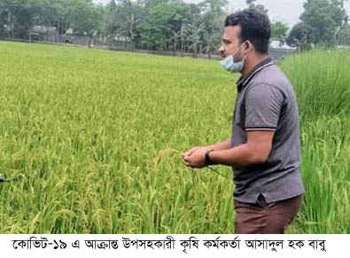 কৃষি কর্মকর্তা কোভিট-১৯
