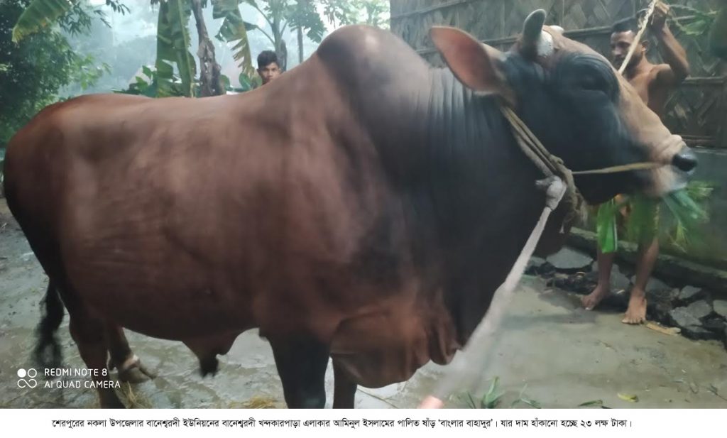 বাংলার বাহাদুর