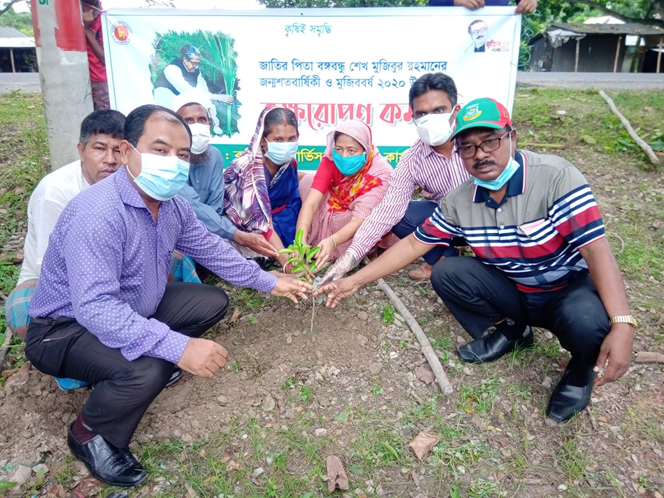 মুজিববর্ষ উপলক্ষে  বরিশালে কৃষি তথ্য সার্ভিসের ফলের চারা রোপণ