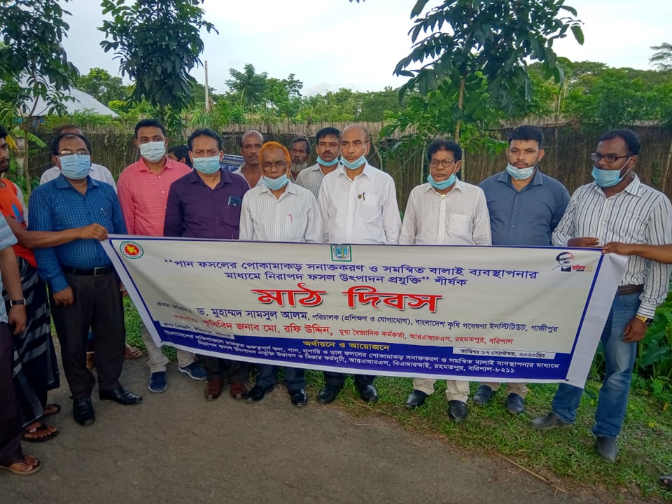 নিরাপদ পান উৎপাদন