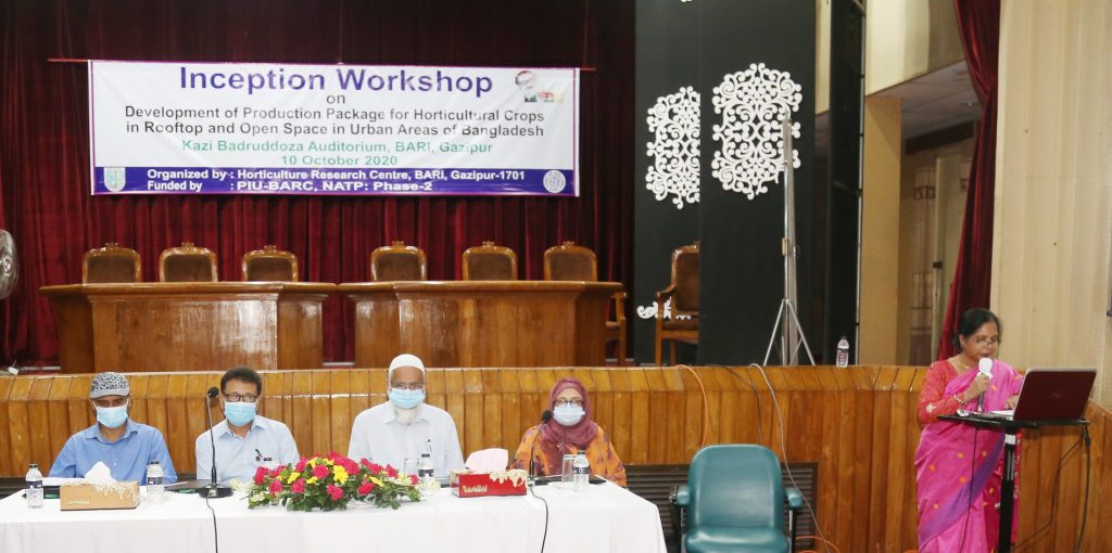 ছাদে উদ্যান ফসল