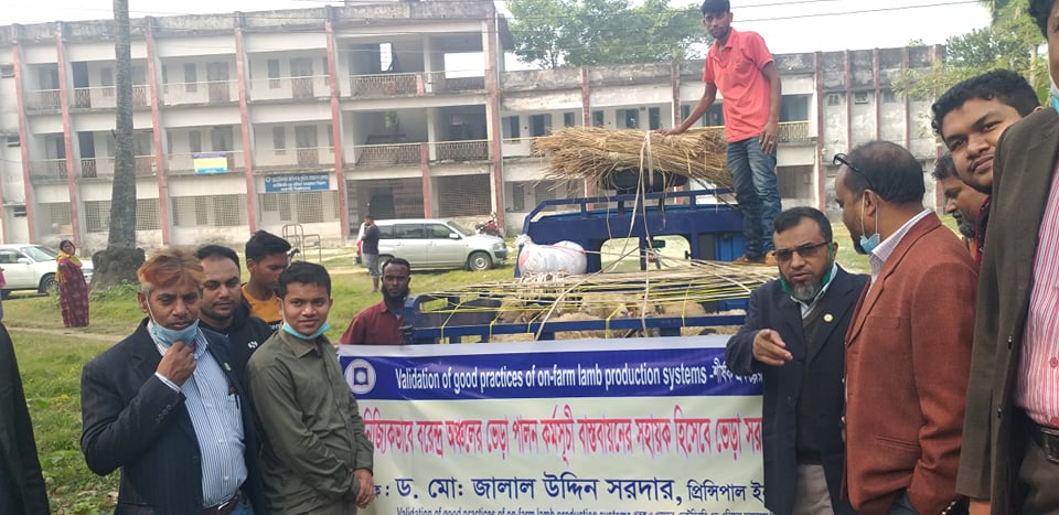 রাবিতে বানিজিকভাবে বরেন্দ্র অঞ্চলের ভেড়া পালন সম্প্রসারণ কর্মসূচীর উদ্বোধন