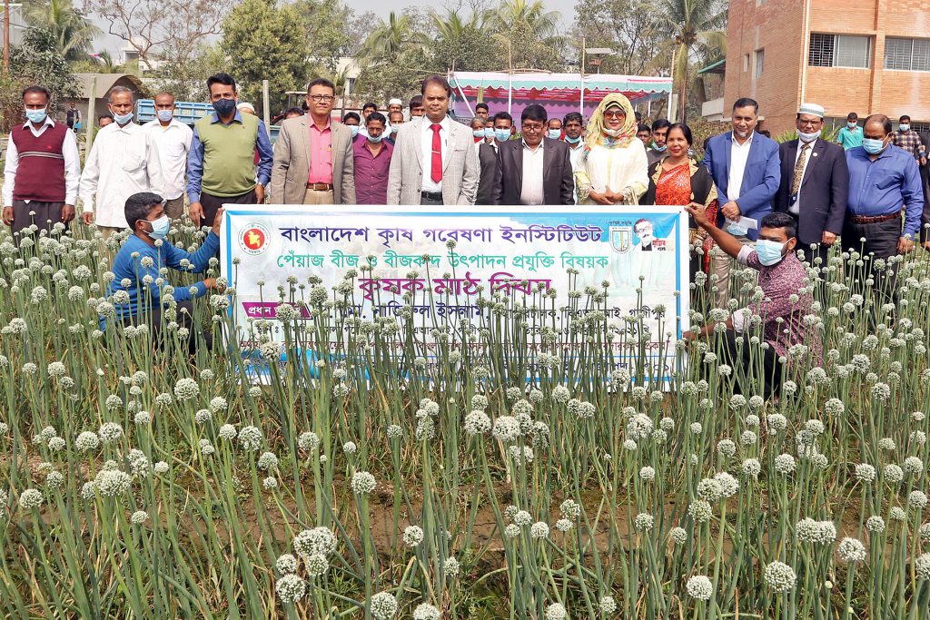 বারি পেঁয়াজ-৫