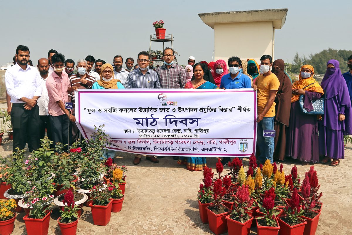 বারি’তে ফুল ও সবজি ফসলের উদ্ভাবিত জাত ও উৎপাদন প্রযুক্তির বিস্তার শীর্ষক মাঠ দিবস অনুষ্ঠিত