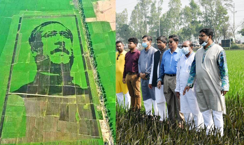 শস্যচিত্রে বঙ্গবন্ধু