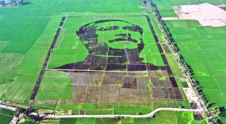 শস্যচিত্রে বঙ্গবন্ধু
