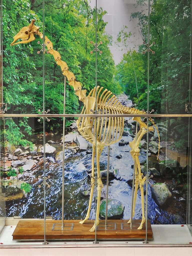 গবেষণা পুরস্কার