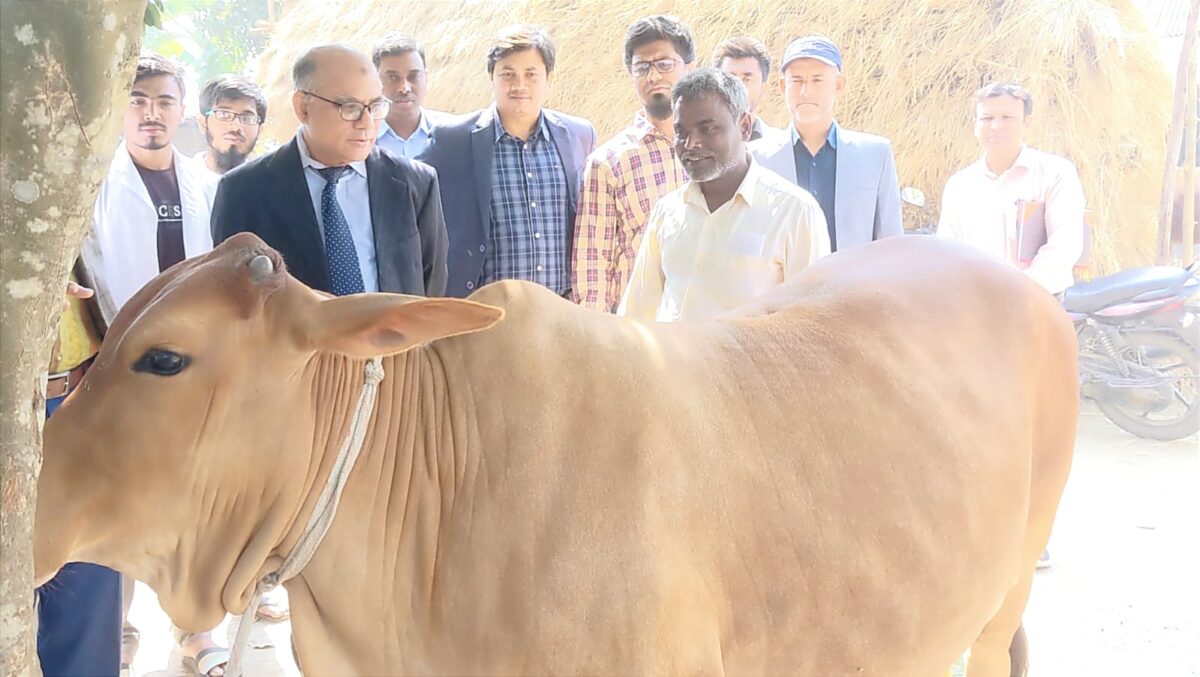 ফ্রি ভেটেরিনারি মেডিকেল ক্যাম্পের মাধ্যমে ৫২৭ টি প্রাণীকে চিকিৎসাসেবা প্রদান